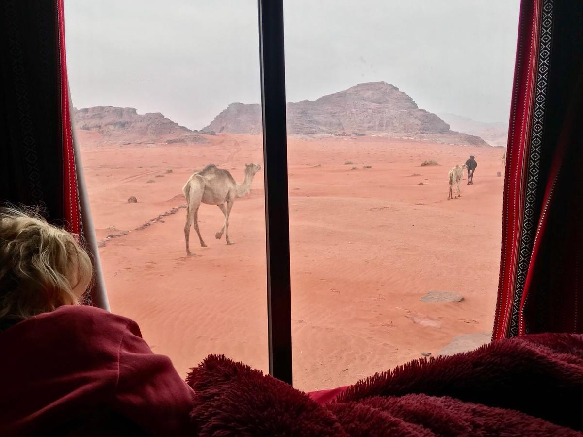 Wadi Rum Starlight Camp Екстериор снимка